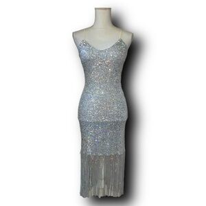 Silver Sequined Dress with Fringed Hem from Celebrity Fashion by Hera Collection